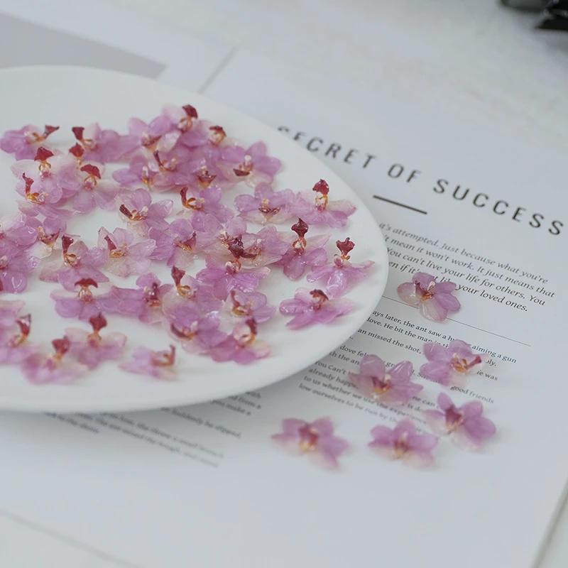 DIY 보석 천연 핑크 레진 난초 키트 수제 귀걸이 반 - Jewelry Making Event 리뷰 및 가격